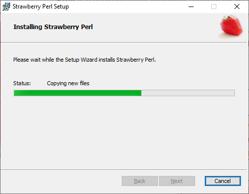 Installing Strawberry Perl