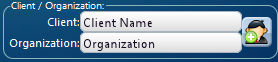 Client and Organization fields in version 3