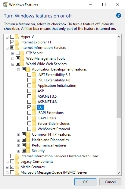 Enable CGI for Internet Information Services (IIS)